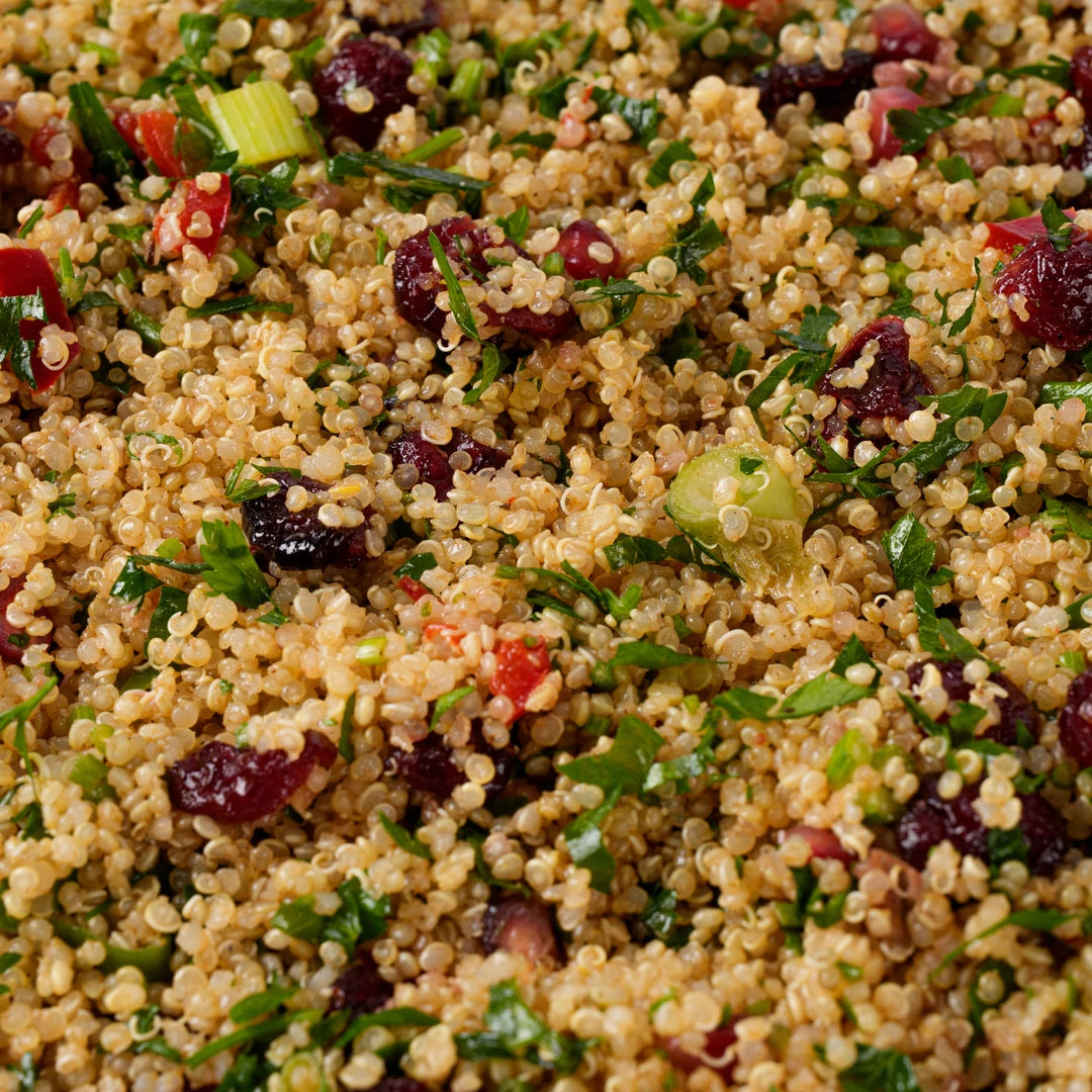 Close up of white quinoa salad with cranberries and herbs, Route Catering London